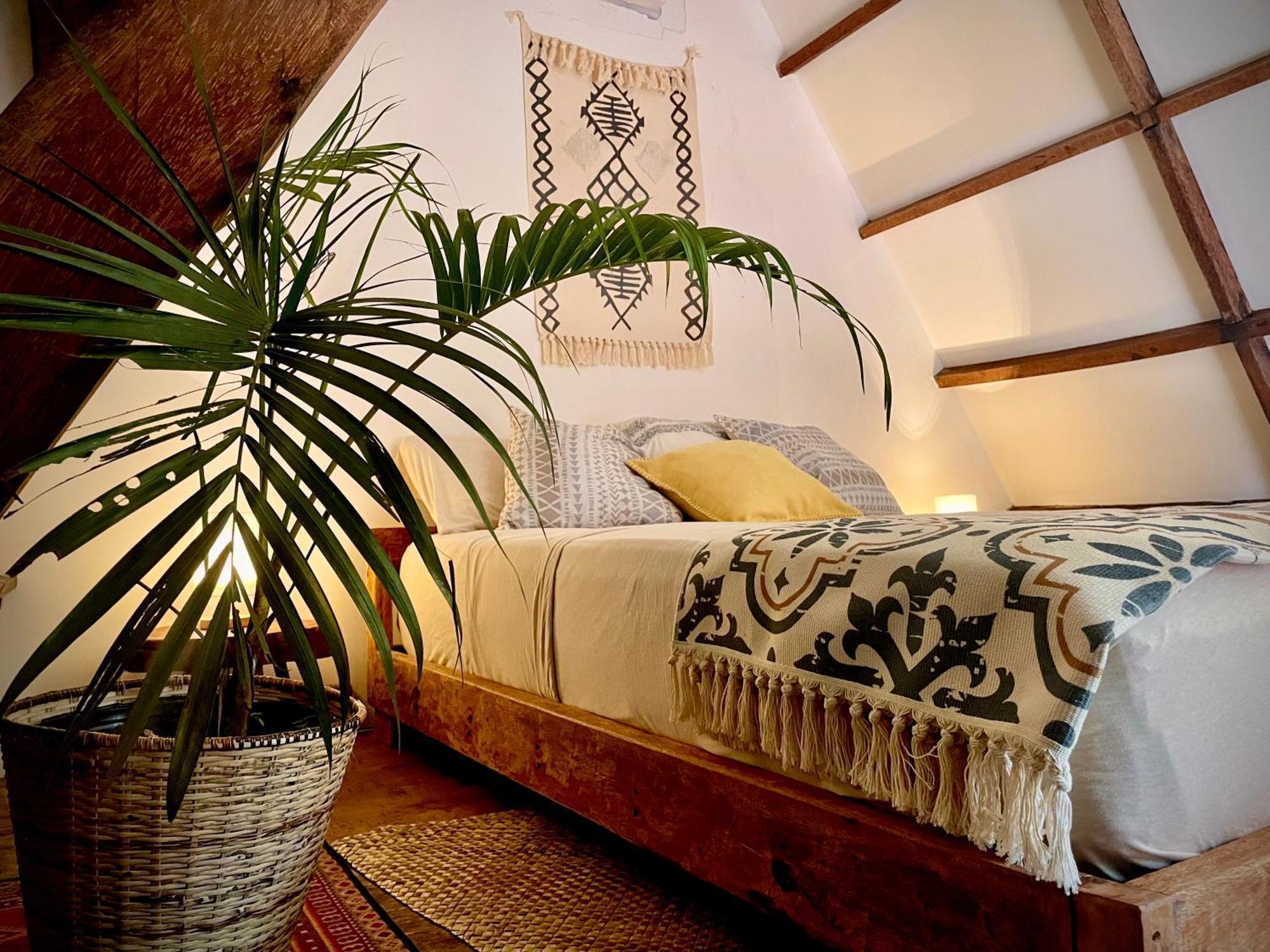 מלון ג'נרל לונה La Boheme Boutique Glamping מראה חיצוני תמונה